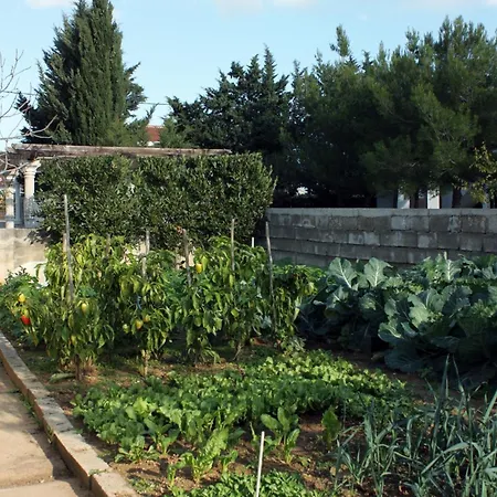 With A Parking Space - Mulo, Zadar - 5938 Vrsi