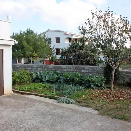 Apartmán With A Parking Space - Mulo, Zadar - 5938