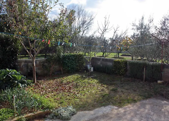 With A Parking Space - Mulo, Zadar - 5938 Apartment