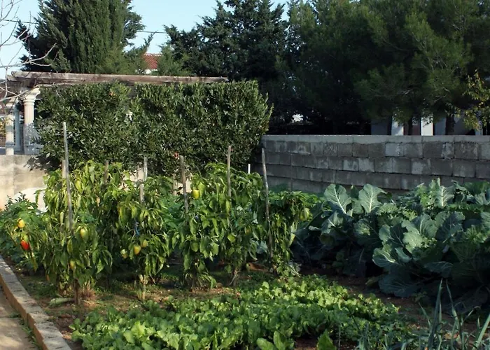 With A Parking Space - Mulo, Zadar - 5938 Vrsi